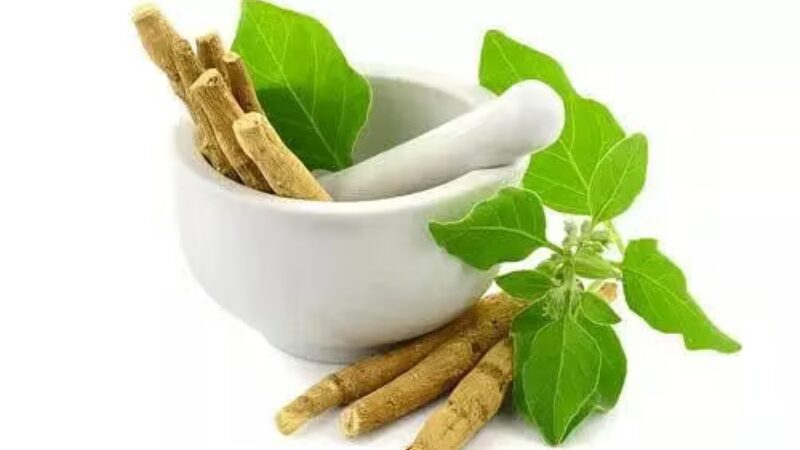 Ashwagandha: Uncovering Possible Health Advantages and Drawbacks