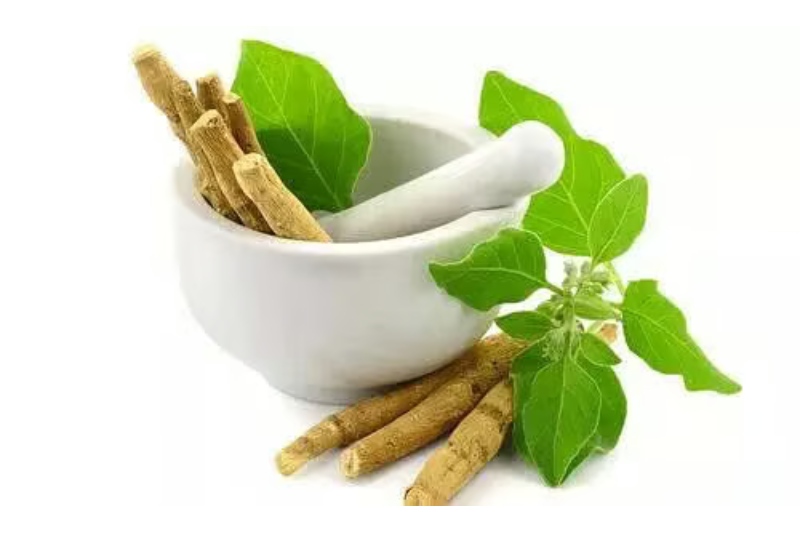 Ashwagandha: Uncovering Possible Health Advantages and Drawbacks