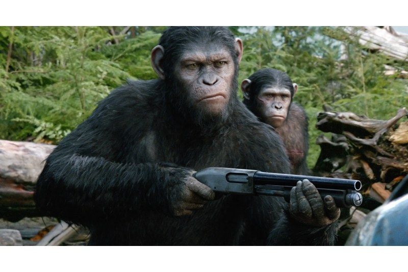Box Office: “Kingdom of the Planet of the Apes” Hopes for an Opening Weekend of at Least $50 Million