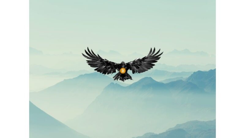 Unveiling the Cryptocurrency Luminary: Crypto Raven’s Journey in Decentralized Finance (DeFi)