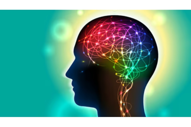 Good Practices to Increase Intelligence and Brainpower
