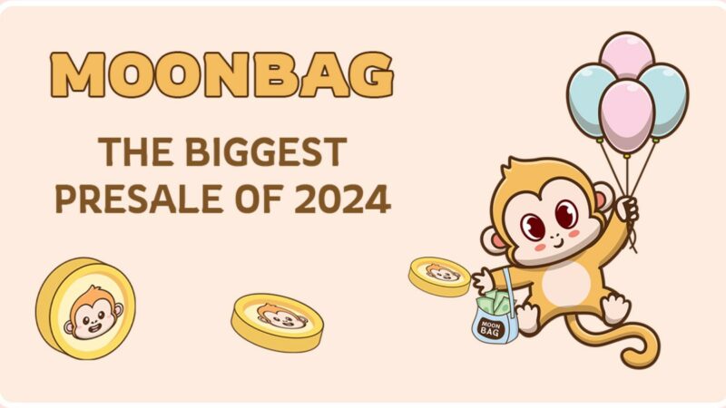 Is MoonBag Presale an Ideal Opportunity to Invest in Yourself?