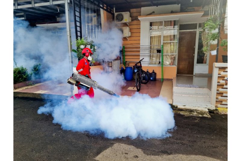 Safe Pest Control Sydney: Expert Services for Homes and Businesses