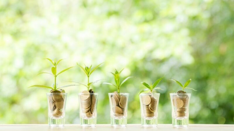 Demystifying Mutual Funds: Your Guide to Smart Investing
