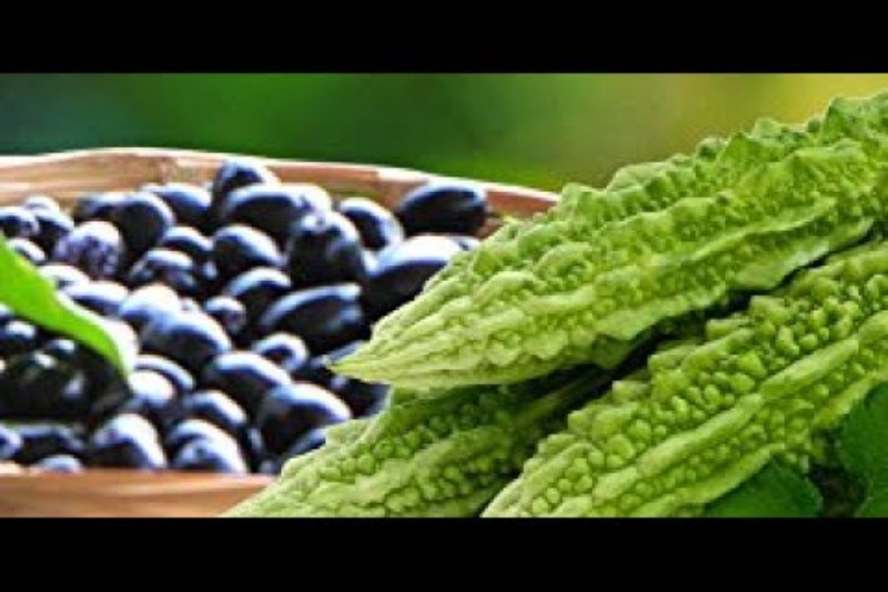 Body Weight Control: Jamun And Karela For Overall Fitness