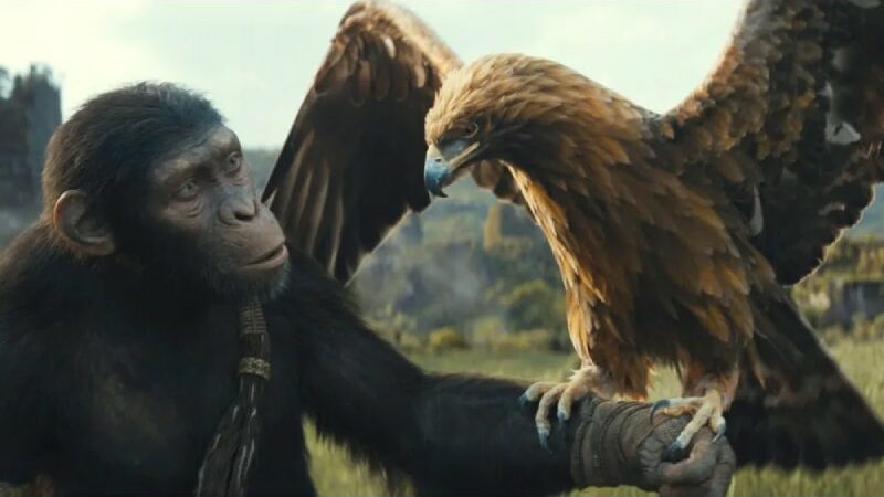 Hulu Release Date For Kingdom Of The Planet Of The Apes Confirmed