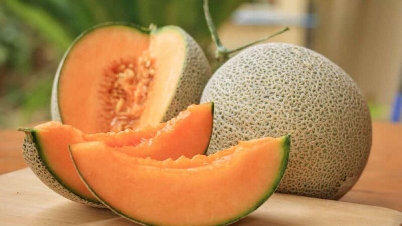 Muskmelon Juice: Its Healthful And Refreshing Benefits