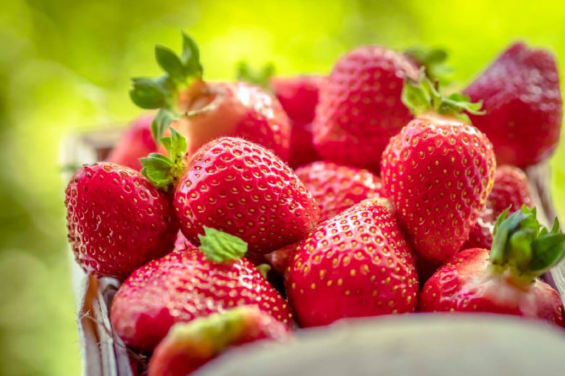 Health Benefits Of Strawberries Include Being A Superfood For Wrinkles, Hypertension, And Memory