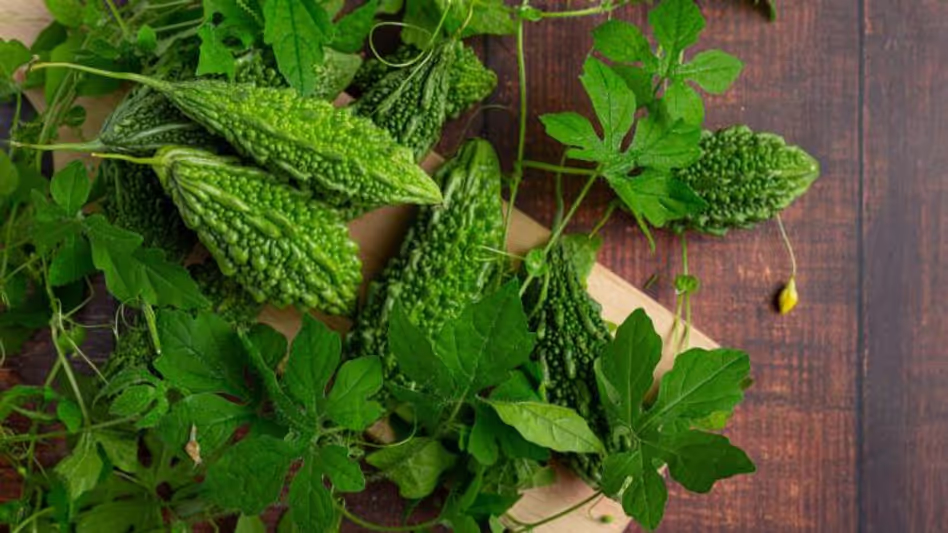 4 Medicinal Leaves That Help Clear Out Bad LDL and Prevent Strokes for High Cholesterol in Winter