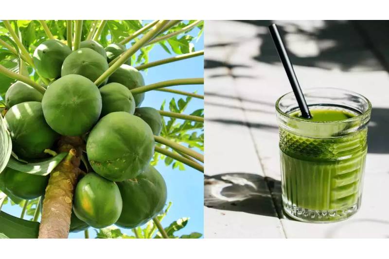 5 Health Advantages of Drinking Raw Papaya Juice Every Day in the Morning on an Empty Stomach
