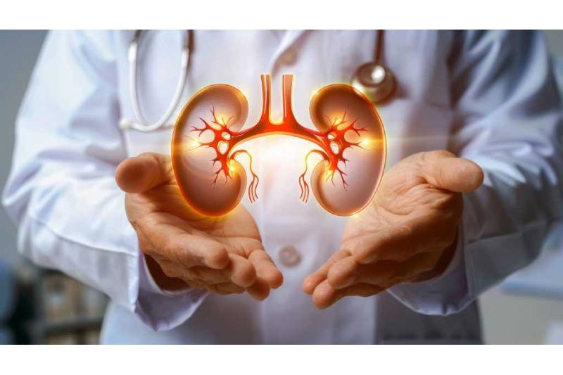 Kidney Damage Management: 5 Daily Routines To Maintain Your Renal Health During the Winter