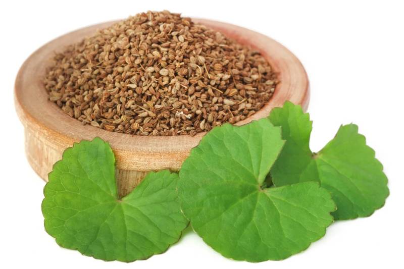 5 Health Advantages of Eating Ajwain After Meals