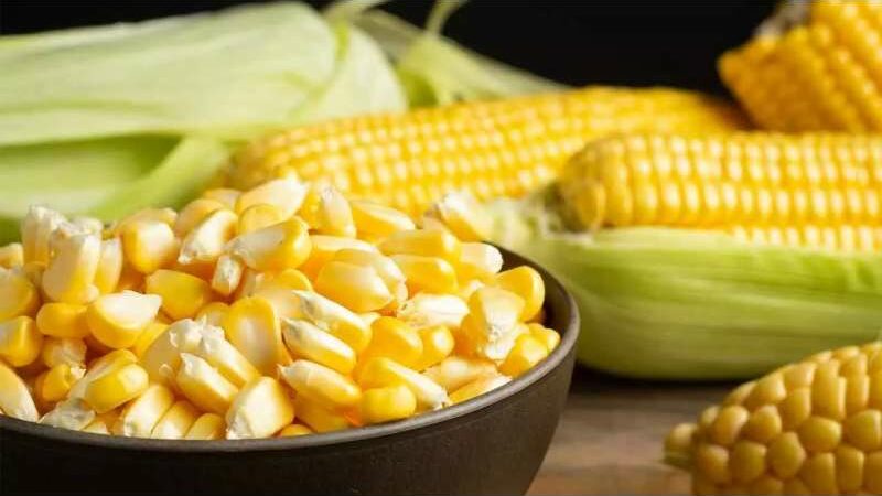 Health Advantages of Including Boiled Sweet Corn in Your Morning Routine