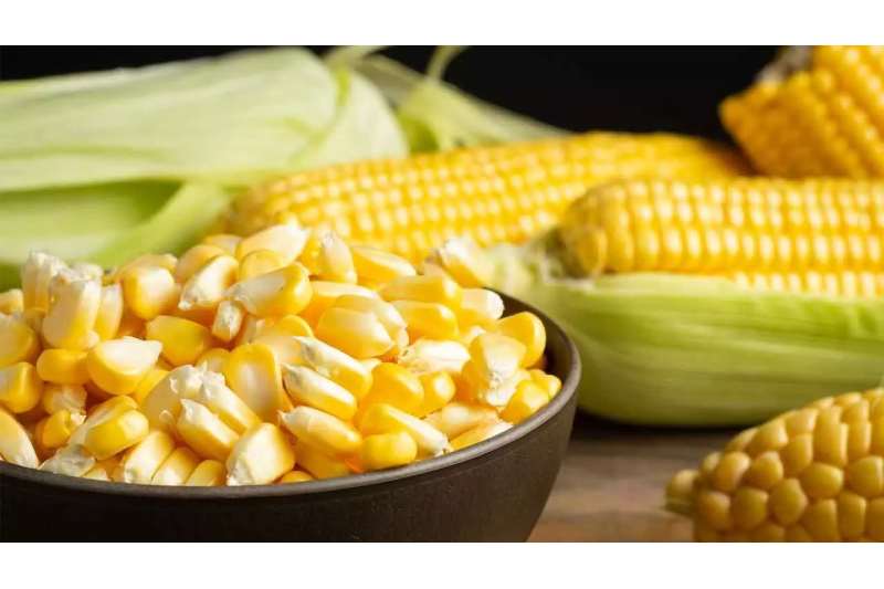 Health Advantages of Including Boiled Sweet Corn in Your Morning Routine