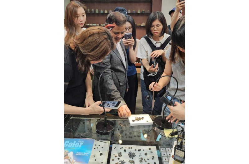 Tucson Gem Show’s Star Attraction: The Rare Gold Sheen Sapphire