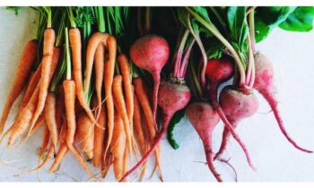 Blood Purification Foods