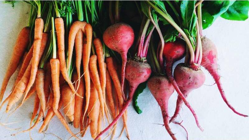 Top 7 Foods That Can Help To Purify Your Blood Naturally