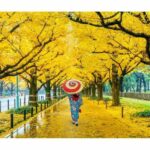 Countries To Visit In Spring Season