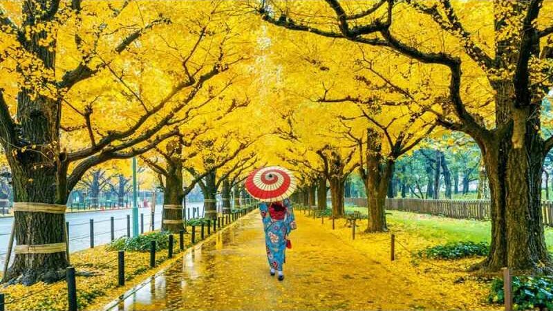 Seasonal Escapes: Top 5 Countries To Visit In Spring Season