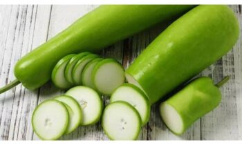 Bottle Gourd