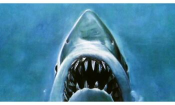 Jaws Movie