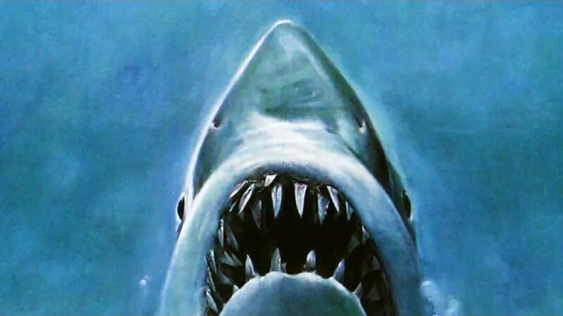 ‘Jaws’ 50th Anniversary Rerelease Date Set