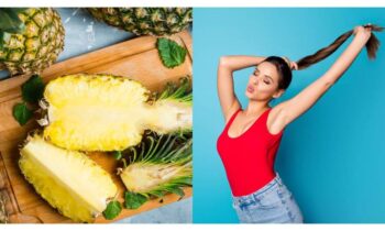 Summer Fruits