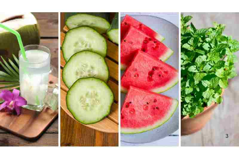 5 Summertime Cooling Drinks to Stay Cool and Aid with Digestion