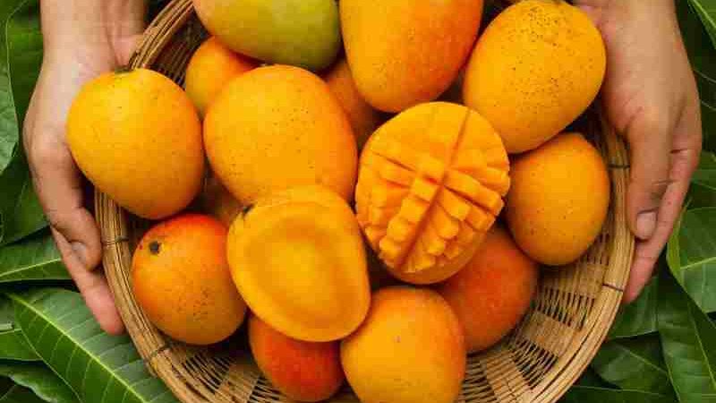 King of Fruits: 5 Health Advantages of Mangoes
