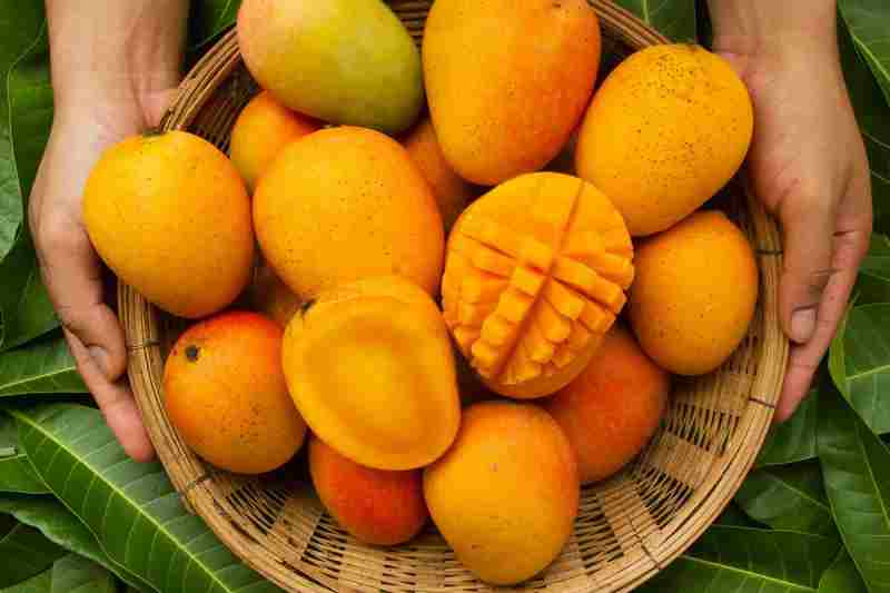 King of Fruits: 5 Health Advantages of Mangoes