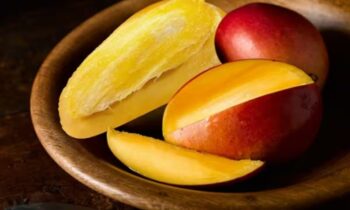 Mango Seeds