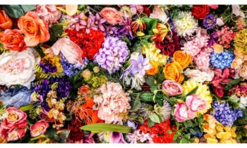Flowers for Beauty
