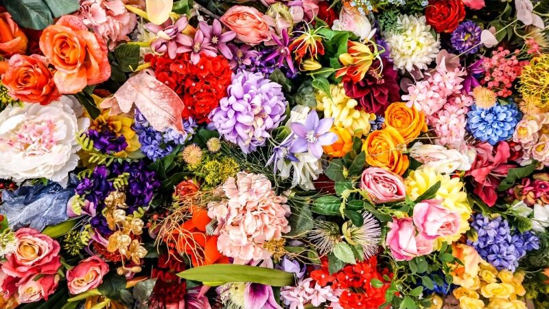 5 Garden Flowers Have the Power to Change Your Beauty