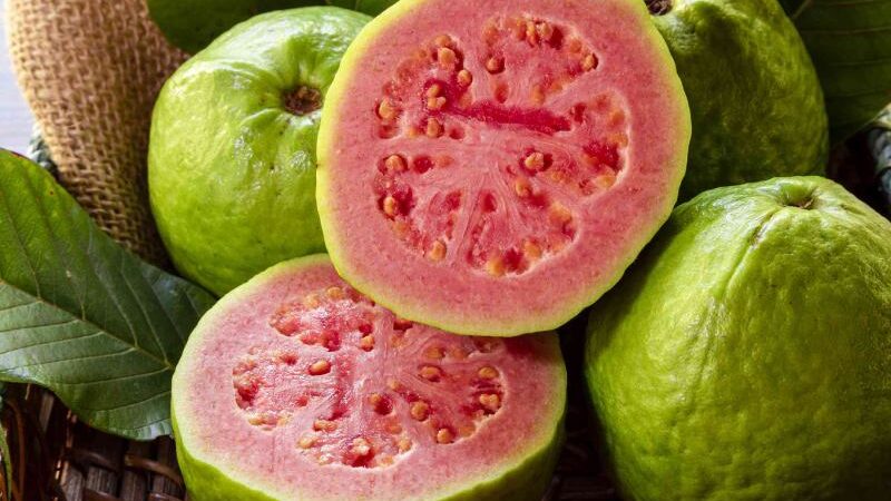 Guava: People who Should be Careful when Eating This Fruit