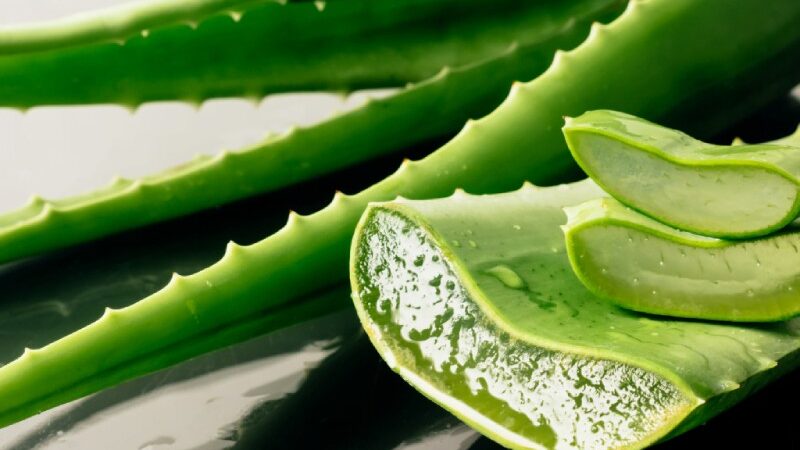 Top 5 Natural Skincare Ingredients for Glowing Skin