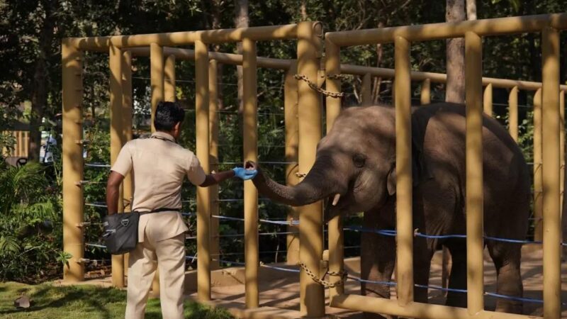 Vantara Sets Global Benchmark in Animal Care