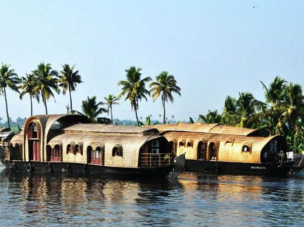 Delvia Holidays International Reviews – Real Customer Experiences 2026