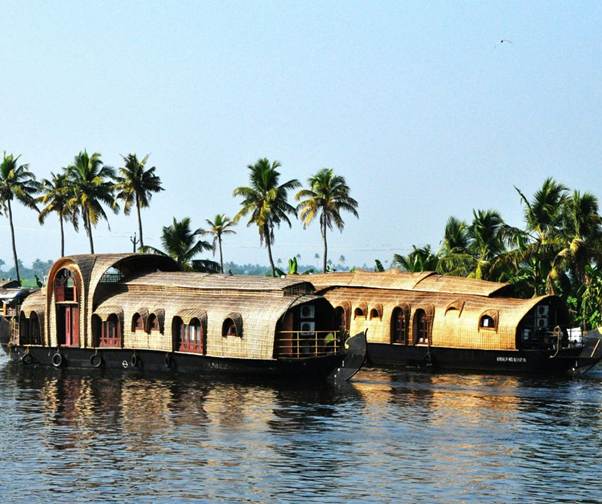 Delvia Holidays International Reviews – Real Customer Experiences 2026