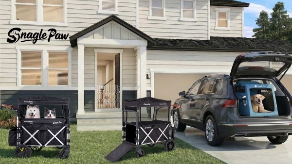 Snagle Paw Introduces Premium Mobility and Home Safety Solutions for Modern Pet Families